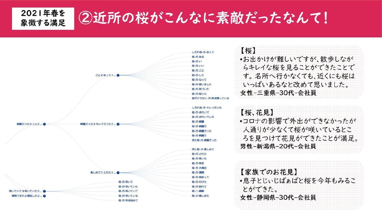 ②近所の桜がこんなに素敵だったなんて！